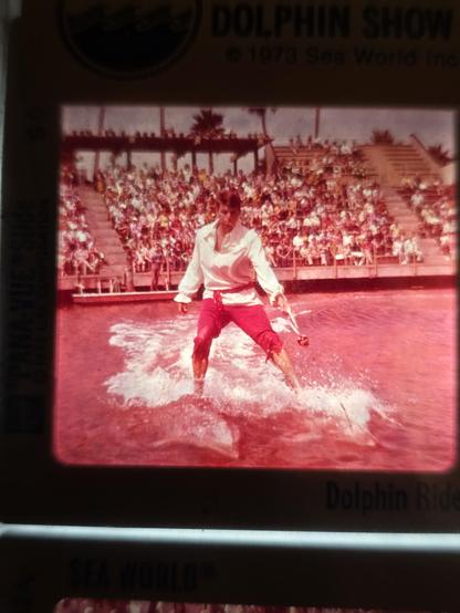 Photo of a slide depicting a man riding atop two dolphins. They no longer perform this stunt at Sea World. 

The only colors that remain are reds and pinks, all the blues and greens have disappeared.