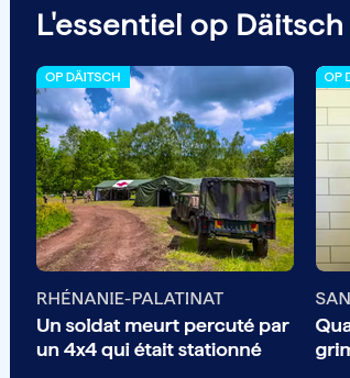 RHENANIE-PALATINAT 
Un soldat meurt percuté par un 4x4 qui était stationné