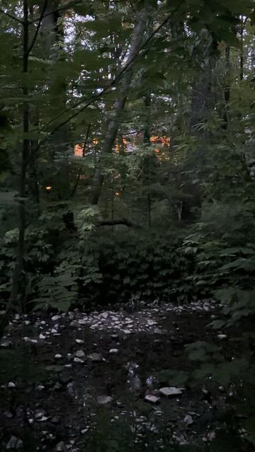 A small home hidden in the woods