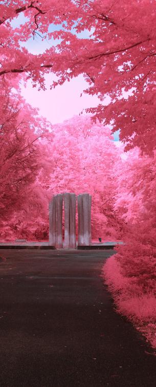 A portrait shot down a tree lined water feature. It is almost is fully covered in trees, just a sliver of sky is visible. The water feature is a bunch of large columns. The way there is dark. The image overall is very pink