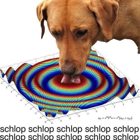 A meme showing a golden-brown dog licking the center of a colorful 3D mathematical plot depicting concentric ripples. The wave equation formula, "u_tt = c^2 \nabla^2 u = c^2(u_xx + u_yy)", is written near the bottom-right of the plot. Below the image, bold black text reads: "schlop schlop schlop schlop schlop schlop schlop schlop schlop schlop", mimicking the sound of the dog drinking water.