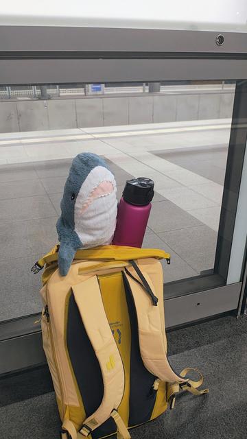 Smolhaj schaut aus einem Rucksack hervor. Daneben ist eine Wasserflasche