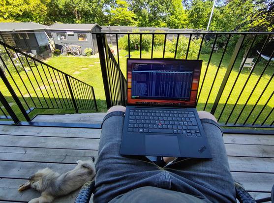 Me sitting on the terrace with a laptop on my legs, displaying a terminal wi dow with k9s running. Tibetan spaniel puppy chilli g on the terrace on the left. Green lawn visible.