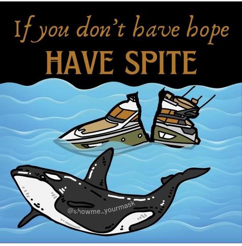 Orca and broken yacht