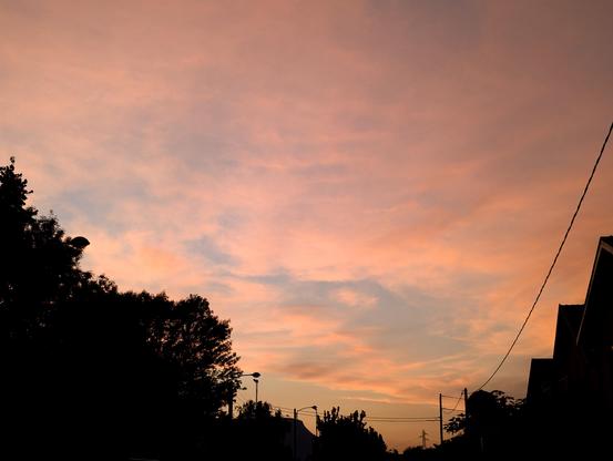 Coucher de soleil jaune/orangé. Les habitations et les arbres en premier plan sont plongés dans le noir par le contraste.