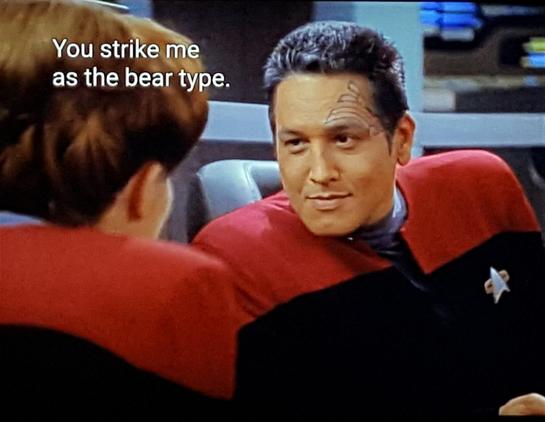 Star Trek Voyager scene. We're on the bridge! of "The Voyager" and we're seeing a convo between Chakotay and Janeway. We're facing Chakotay and see Janeway from the back. They're in command chairs next to one another. Chakotay is leaning in, and has a smirk on his face. Seems like that thing where you lean in to say something you don't want everyone else in the room to hear. Closed caption reads, "You strike me as the bear type."