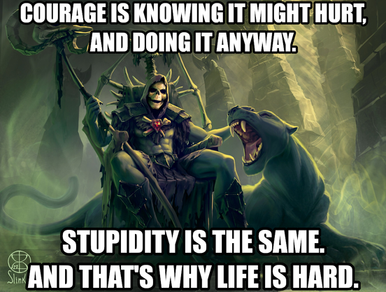 Courage is knowing it might hurt, and doing it anyway. Stupidity is the same and that's why life is hard. Says Skeletor knowing he’s mostly stupid but sometimes courageous.