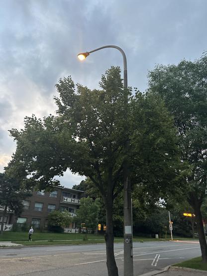 Street light on a street