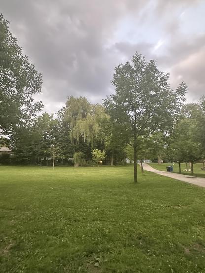 Trail in local park - the second photo is the sunset- alt desc is a joke