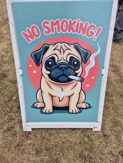 Clapboard poster that says "No Smoking," but it features a lazy generative AI rendering of a pug smoking a cigarette. It doesn't even look that sad!