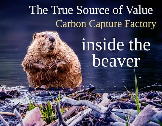 Picture of beaver on dam with text "The True Source of Value: Carbon Capture Factory inside the beaver" in the style of an AI slop Softbank shareholder meeting deck.