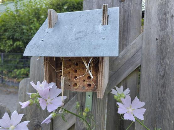 Photo of an 'insect hotel', which is a small wooden house like object with a block of wood drilled full of holes at the front. It has a small metal roof and is screwed to a fence panel. In front of it are some light purple flowers.