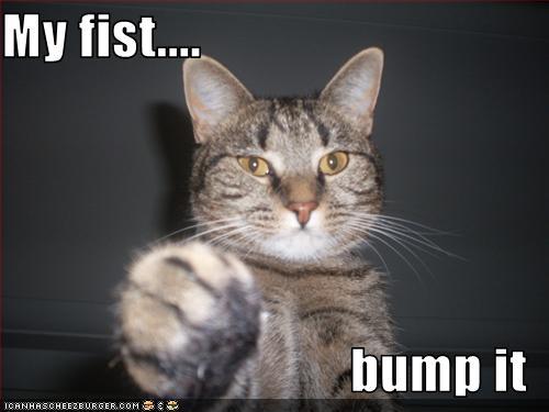 Image attached toot