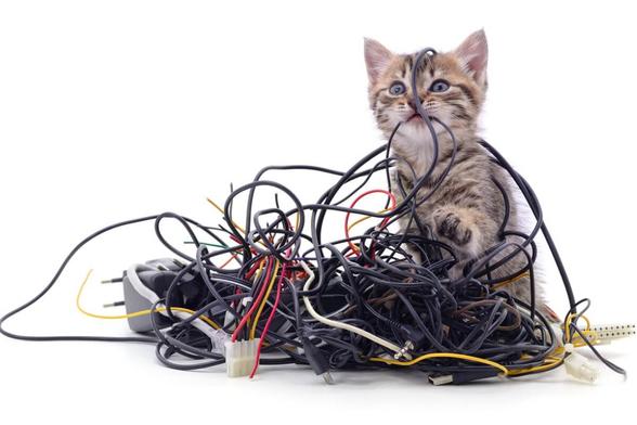 Cute kitten in a tangle of cables with one cable draped over its head and one cable in its mouth.