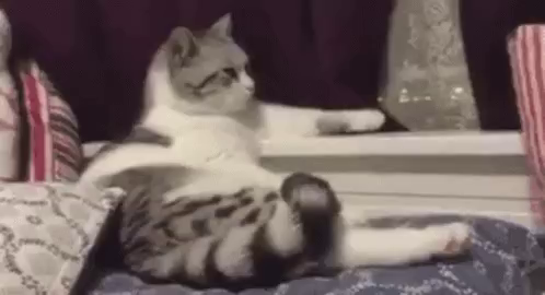 Image attached toot