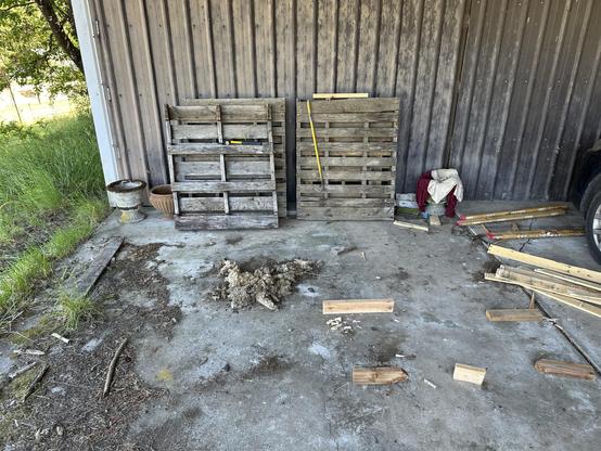 A bunch of palettes leaning against a barn on a cement floor. There is a pile of wood from a disassembled one on the floor to the right, twigs and debris to the left, and some tools on top of the palettes.