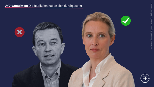 Links ein Bild von Bernd Lucke, in schwarz-weiß und etwas verblasst. Links neben seinem Kopf befindet sich ein rotes X. Rechts und etwas weiter im Vordergrund ein Bild von Alice Weidel in Farbe. Rechts neben ihrem Kopf befindet sich ein grüner Haken.