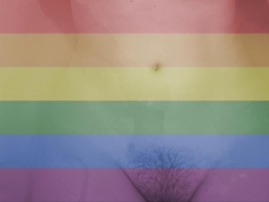 Die Pride Flage gestreift von oben nach unten, Rot, Orange, Gelb, Grün, Blau, Violett. 

Darunter mein Körper, Bauch, Hüfte   und Intimzone mit Vulvahaaren.