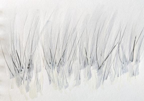 Fine reed or grass-like marks in pale grey and white.