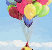 a bunch of colorful balloons are being held in the air