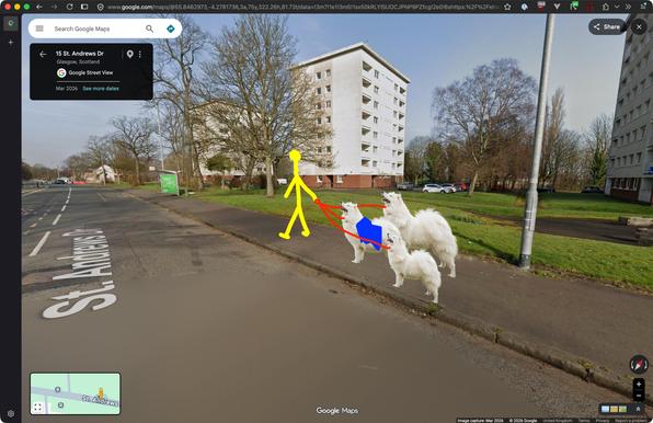 a screenshot from Street View that’s been crudely edited and drawn over. three copies of the same stock photo of a samoyed are on the pavement, a blue blanket is draped over the frontmost one, and a stick figure is holding all three dogs’ leashes
