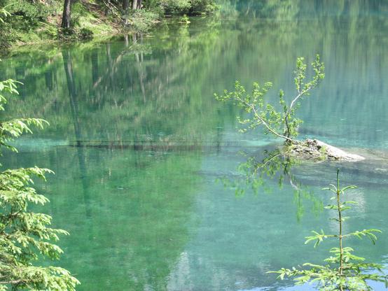 The Green Lake is famous for flooding the surrounding paths every year. Here, you see a submerged bridge.