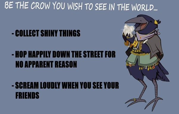 Be the crow you wish to see in the world …
- Collect shiny things
- Hop happily down the street for no apparent reason
- Scream loudly when you see your friends