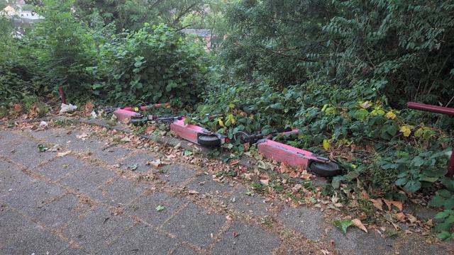 Drei E-Scooter liegen gammelnd am Wegesrand im Gebüsch