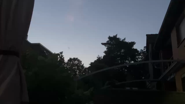 A short movie showing a bat in front of a twilight sky