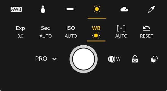 Screenshot of a phone camera's controls.