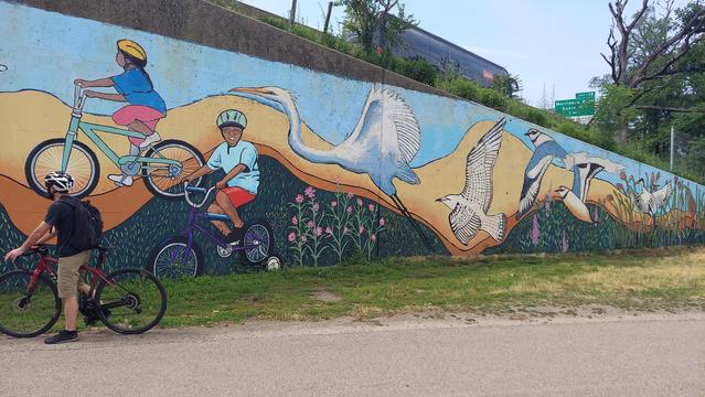 A mural along the Neponset River trail that depicts a snowy egret, a hawk?, and I'm just now realizing these birds might not be real lol. I think the snowy egret should have a black beak but i'll forgive that. Anyone know what these other guys are supposed to be?

Anyway, the mural is blue, yellow, and green, and has 6 birds and depicts bikers. A human biker rests on the left side of the frame.