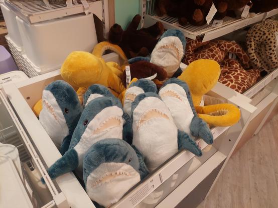 A display of smolhaj and other plushes in IKEA. The Blåhaj are all standing up on their tail fins.