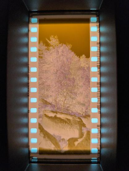 Photo d'un négatif photo couleur installé dans un cadre de numérisation.