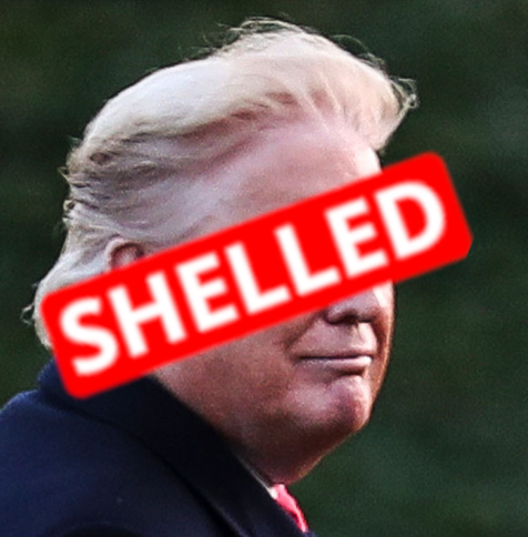 donald trump wind hair photo but he's been SHELLED by the Peanut from Blaseball