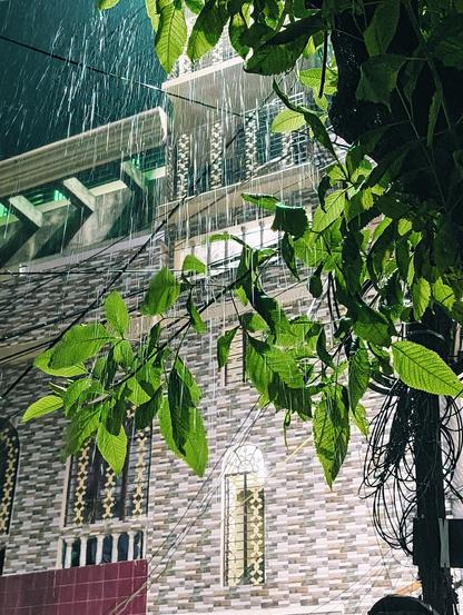 A vertical nighttime photograph capturing heavy rain in an urban setting. In the foreground, vibrant green leaves on a tree branch are sharply illuminated, with long, white streaks of raindrops falling heavily through and around them. To the right, a thick, tangled cluster of black electrical wires hangs vertically next to the foliage. In the softly lit background, a multi-story building features a patterned tile exterior, a warmly illuminated arched window with a decorative grate, and an upper-level balcony glowing with a faint green light.