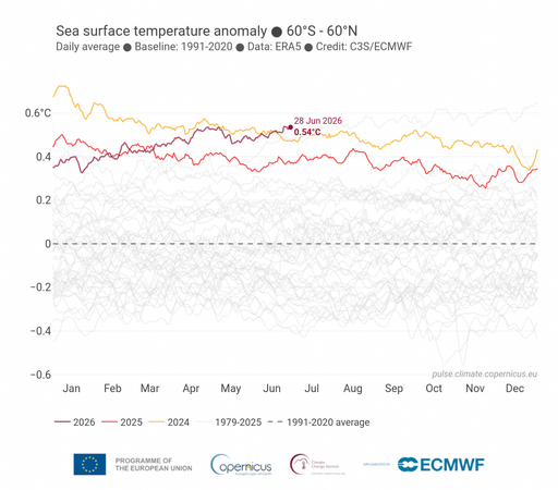 screenshot from copernicus, indicating 0.54°C temperature anomaly (relative to 1991-2020 average) on June 28, 2026