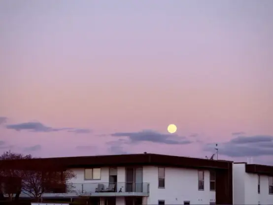 Pink and mauve sunset over an apartment building, showing a big round full moon.