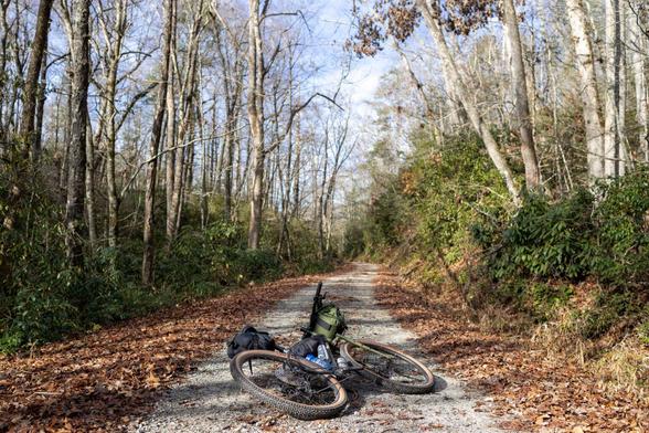 Bicycle on a gravel road, trees, leafs