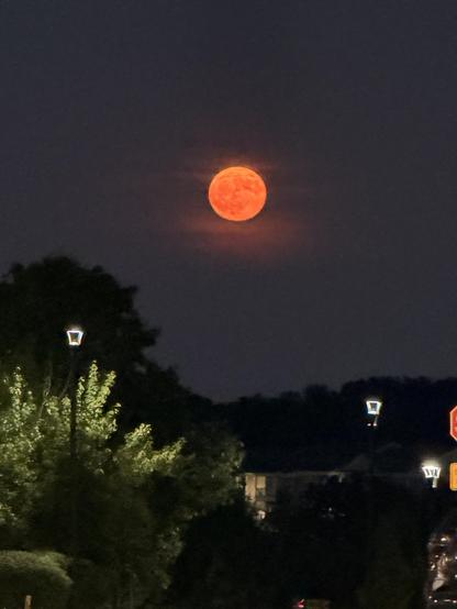 A bright, orange full moon is visible in the night sky, partially obscured by clouds. Silhouettes of trees and lampposts are in the foreground, enhancing the atmospheric scene.