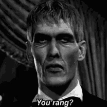 Lurch from the Addams Family TV series, standing facing the camera and saying: 
"You rang?"