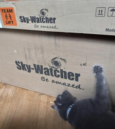 A grey cat, laying on his side on the floor while gently sinking his claws into a large box that says "Sky-Watcher" with a drawing of a spiral galaxy.