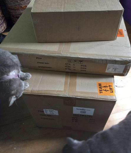 A stripey grey cat enthusiastically rubbing her face on the corner of a large box at the bottom of a stack of 3 large boxes.  A grey cat rubs next to the other corner.