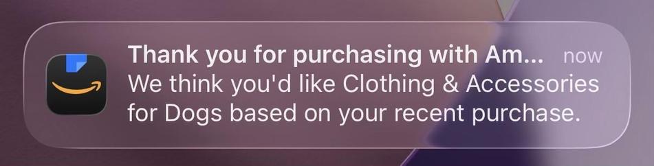 A notification from Amazon thanks the user for their purchase and suggests clothing and accessories for dogs based on recent buying activity.