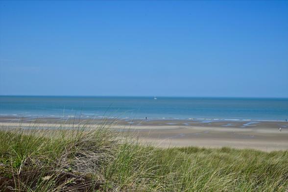 A beach scene featuring sandy shores, gentle waves, and a clear blue sky, with green grasses in the foreground. A few people are visible on the shoreline, along with a sailboat in the distance.