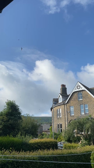 Swifts zooming around a street of large Victorian stone houses. The sky is blue with bright white cumulus clouds and there's a glimpse of moorland in the background.