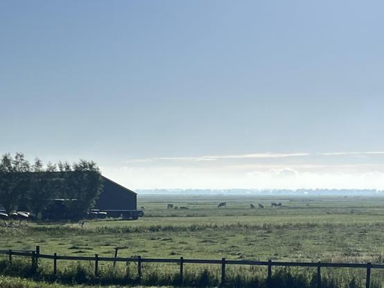 A landscape with blue sky and a green grassy foreground with white clouds on the horizon. On the left is a barn and some cattle