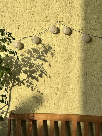 Über einer Holzbank hängt eine Lichterkette. Links daneben steht ein kleiner Ginkgo-Baum. Durch die Sonne ist der Schatten der Blätter an der Wand zu sehen.