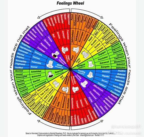 A colorful "Feelings Wheel" displaying various emotions categorized based on whether needs are met or not. It features multiple segments with emotions ranging from positive feelings like "Joyful" and "Excited" to negative feelings such as "Afraid" and "Sadness".