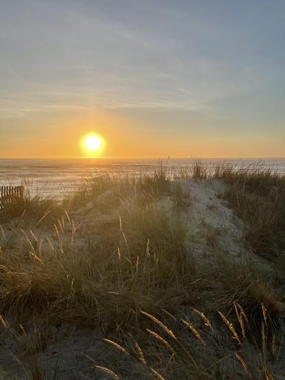 Seaside sunset over a dune with some vegetation. The sun is “touching” the ocean and laying orange tones over everything