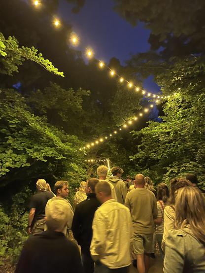 Groups of people walking back to the bicycle in semi-darkness, over the bicycle path under strings of lights spun between leafy trees.